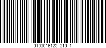 Código de barras (EAN, GTIN, SKU, ISBN): '0103016123_313_1'