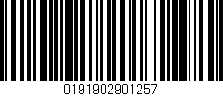 Código de barras (EAN, GTIN, SKU, ISBN): '0191902901257'