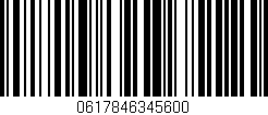 Código de barras (EAN, GTIN, SKU, ISBN): '0617846345600'