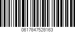 Código de barras (EAN, GTIN, SKU, ISBN): '0617847528163'