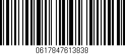 Código de barras (EAN, GTIN, SKU, ISBN): '0617847613838'