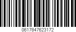 Código de barras (EAN, GTIN, SKU, ISBN): '0617847623172'