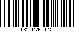Código de barras (EAN, GTIN, SKU, ISBN): '0617847623813'