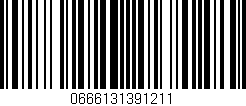 Código de barras (EAN, GTIN, SKU, ISBN): '0666131391211'