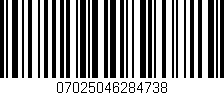 Código de barras (EAN, GTIN, SKU, ISBN): '07025046284738'