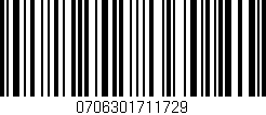 Código de barras (EAN, GTIN, SKU, ISBN): '0706301711729'