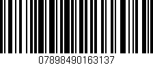 Código de barras (EAN, GTIN, SKU, ISBN): '07898490163137'