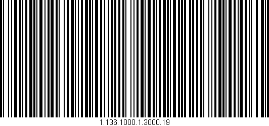 Código de barras (EAN, GTIN, SKU, ISBN): '1.136.1000.1.3000.19'