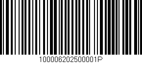 Código de barras (EAN, GTIN, SKU, ISBN): '100006202500001P'
