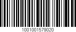 Código de barras (EAN, GTIN, SKU, ISBN): '1001001579020'