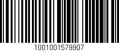 Código de barras (EAN, GTIN, SKU, ISBN): '1001001579907'