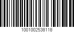 Código de barras (EAN, GTIN, SKU, ISBN): '1001002538118'