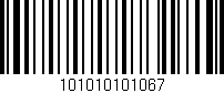 Código de barras (EAN, GTIN, SKU, ISBN): '101010101067'