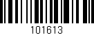 Código de barras (EAN, GTIN, SKU, ISBN): '101613'