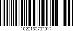 Código de barras (EAN, GTIN, SKU, ISBN): '1022163797817'
