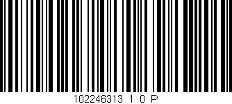 Código de barras (EAN, GTIN, SKU, ISBN): '102246313_1_0_P'