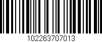 Código de barras (EAN, GTIN, SKU, ISBN): '102263707013'