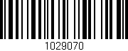 Código de barras (EAN, GTIN, SKU, ISBN): '1029070'