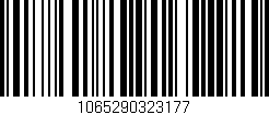 Código de barras (EAN, GTIN, SKU, ISBN): '1065290323177'