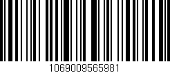 Código de barras (EAN, GTIN, SKU, ISBN): '1069009565981'