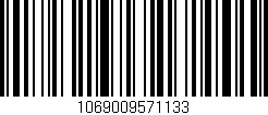Código de barras (EAN, GTIN, SKU, ISBN): '1069009571133'