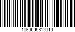 Código de barras (EAN, GTIN, SKU, ISBN): '1069009613313'
