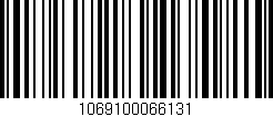 Código de barras (EAN, GTIN, SKU, ISBN): '1069100066131'