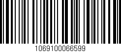Código de barras (EAN, GTIN, SKU, ISBN): '1069100066599'