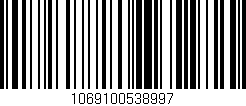 Código de barras (EAN, GTIN, SKU, ISBN): '1069100538997'