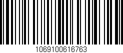 Código de barras (EAN, GTIN, SKU, ISBN): '1069100616763'