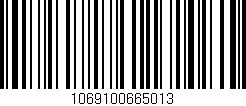 Código de barras (EAN, GTIN, SKU, ISBN): '1069100665013'
