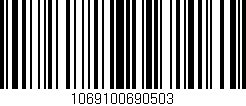 Código de barras (EAN, GTIN, SKU, ISBN): '1069100690503'