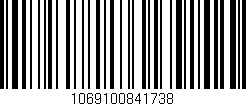 Código de barras (EAN, GTIN, SKU, ISBN): '1069100841738'