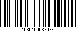 Código de barras (EAN, GTIN, SKU, ISBN): '1069100966066'