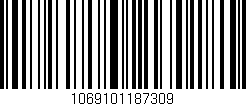 Código de barras (EAN, GTIN, SKU, ISBN): '1069101187309'