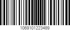 Código de barras (EAN, GTIN, SKU, ISBN): '1069101223489'
