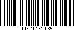 Código de barras (EAN, GTIN, SKU, ISBN): '1069101713065'