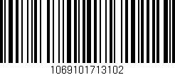 Código de barras (EAN, GTIN, SKU, ISBN): '1069101713102'