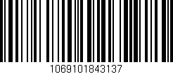 Código de barras (EAN, GTIN, SKU, ISBN): '1069101843137'