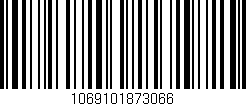 Código de barras (EAN, GTIN, SKU, ISBN): '1069101873066'