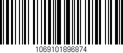 Código de barras (EAN, GTIN, SKU, ISBN): '1069101896874'