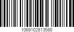 Código de barras (EAN, GTIN, SKU, ISBN): '1069102813580'