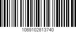 Código de barras (EAN, GTIN, SKU, ISBN): '1069102813740'
