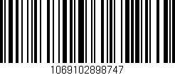 Código de barras (EAN, GTIN, SKU, ISBN): '1069102898747'