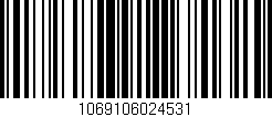 Código de barras (EAN, GTIN, SKU, ISBN): '1069106024531'