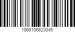 Código de barras (EAN, GTIN, SKU, ISBN): '1069106623345'