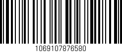 Código de barras (EAN, GTIN, SKU, ISBN): '1069107876580'
