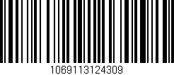 Código de barras (EAN, GTIN, SKU, ISBN): '1069113124309'