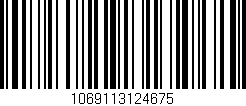 Código de barras (EAN, GTIN, SKU, ISBN): '1069113124675'