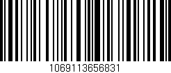 Código de barras (EAN, GTIN, SKU, ISBN): '1069113656831'
